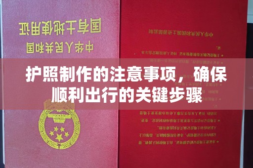 莎车护照制作的注意事项，确保顺利出行的关键步骤