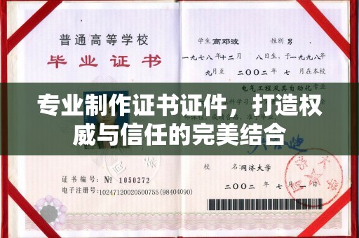 湛河专业制作证书证件，打造权威与信任的完美结合