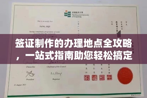 台西签证制作的办理地点全攻略，一站式指南助您轻松搞定签证