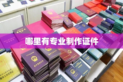 莲都哪里有专业制作证件